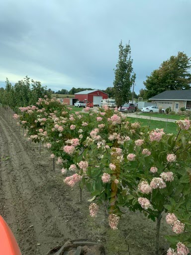 Three Generation Farms | ON-10, Mono, ON L9V 0Z6, Canada | Phone: (416) 845-5700