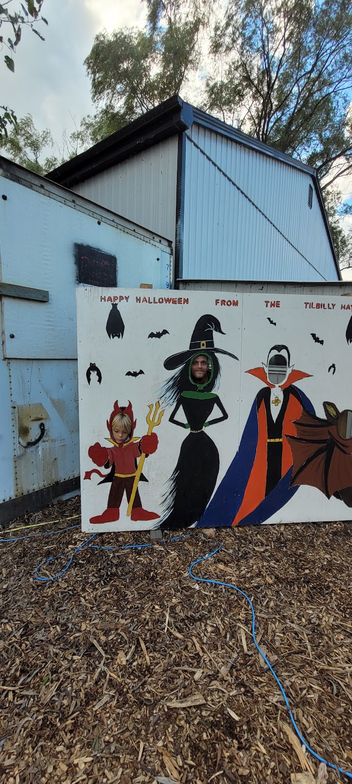 THE TILBILLY HALLOWEEN VILLAGE | 17825 Tecumseh Rd, Tilbury, ON N0P 2L0, Canada | Phone: (519) 437-8701