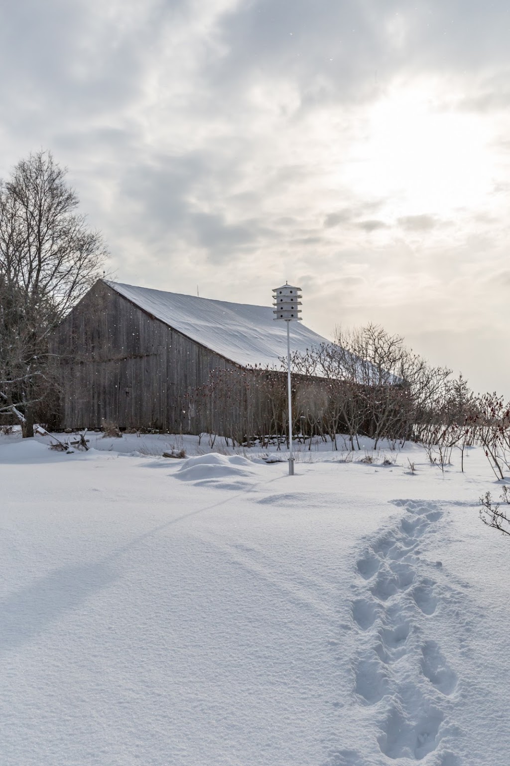 Wilda Farmhouse | 1472 County Rd 7, Prince Edward, ON K0K 2T0, Canada | Phone: (647) 385-3079