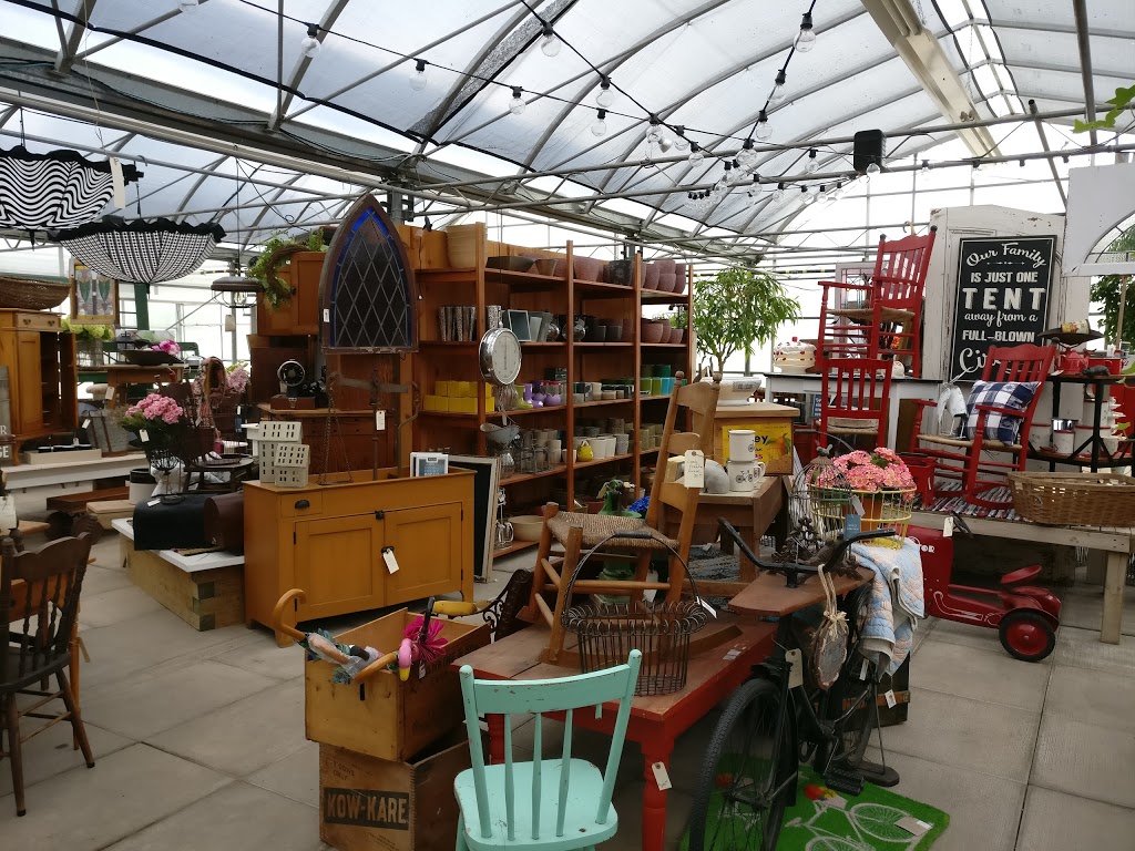Orangeville Flowers & Greenhouses Ltd | 78 John St, Orangeville, ON L9W 2P8, Canada | Phone: (519) 941-2592