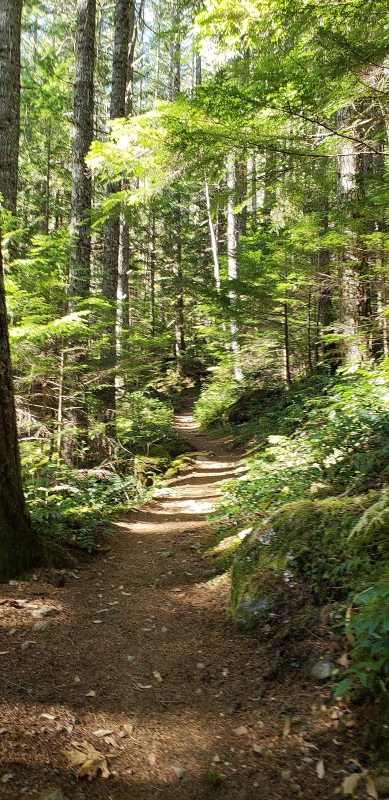 Excelsior Pass Trailhead | Mt Baker Hwy, Glacier, WA 98442, USA | Phone: (360) 856-5700