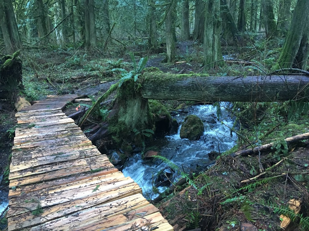 Chilliwack Community Forest | 51642 Allan Rd, Chilliwack, BC V4Z 1L2, Canada | Phone: (604) 793-2904