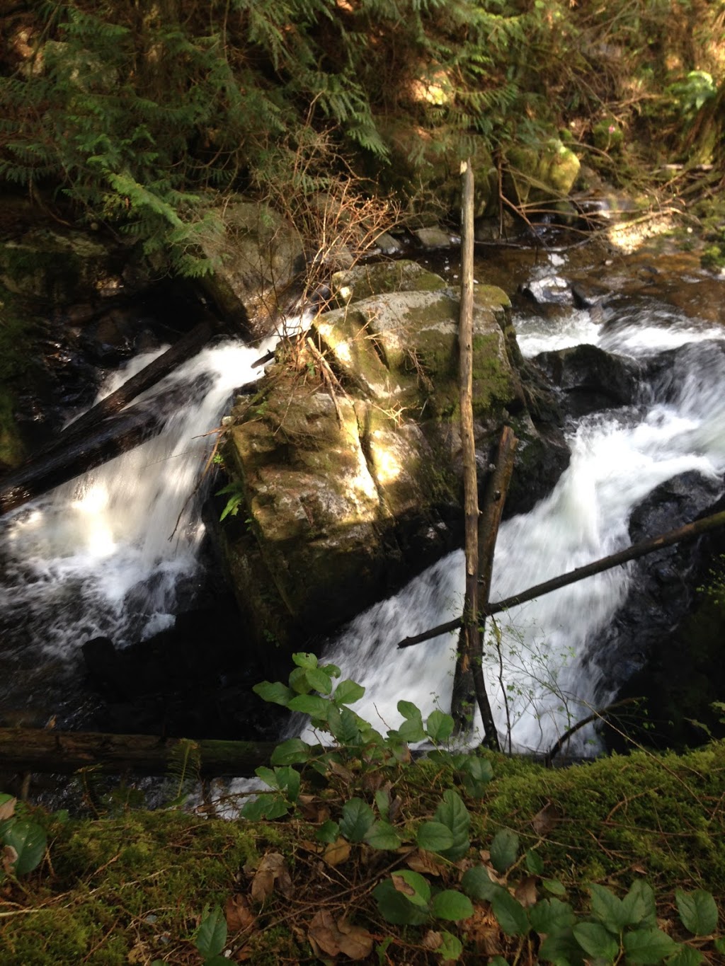 Hayward Lake Reservoir Trail. | 31170 Dewdney Trunk Rd, Mission, BC V4S 1C4, Canada
