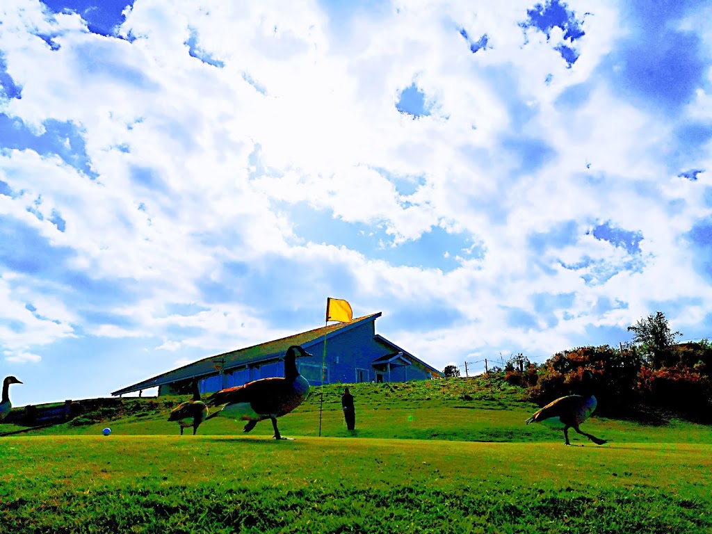 Oshawa Airport Golf Club | 1145 Thornton Rd N, Oshawa, ON L1H 7K4, Canada | Phone: (905) 723-5175