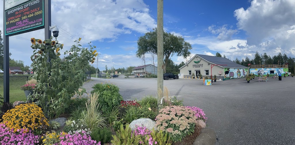 The Lunchbox Roseneath | 8965 45, Roseneath, ON K0K 2X0, Canada | Phone: (249) 487-0024