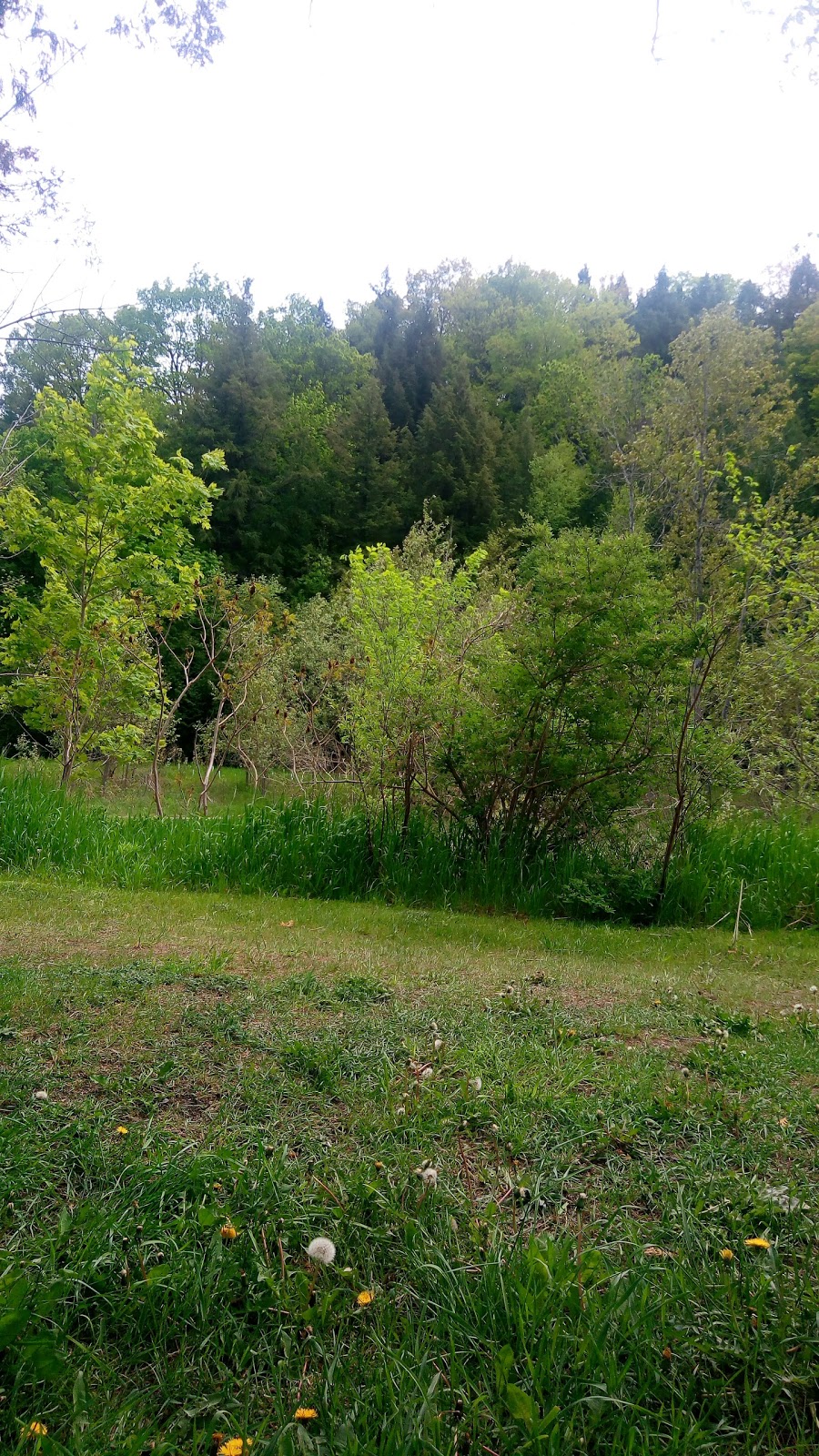 A Plus Office Installations Inc | 1795 Pine Grove Ave, Pickering, ON L1V 1K7, Canada | Phone: (905) 837-5701