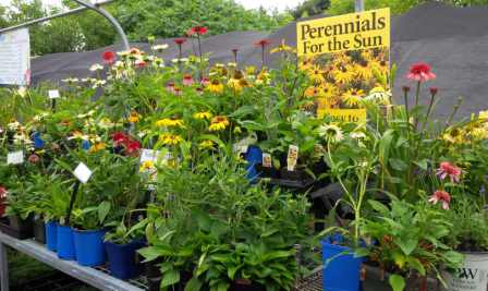 Gardens Plus | 136 County Rd 4, Peterborough, ON K9L 1V6, Canada | Phone: (705) 742-5918