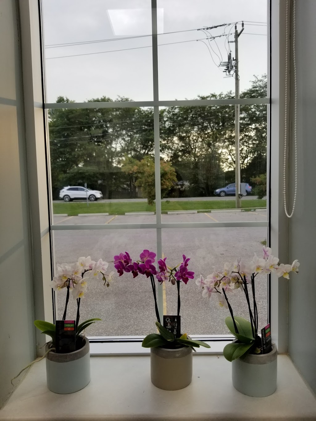 Lifetime Dental Lifetime Beauty | 625 Park Rd N #1, Brantford, ON N3T 5L8, Canada | Phone: (519) 759-7630