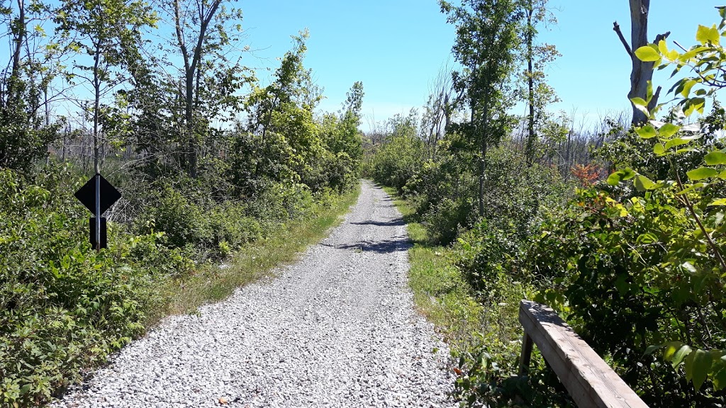A 1 Excavating | 245 Station Rd, Hillier, ON K0K 2J0, Canada | Phone: (613) 399-5964
