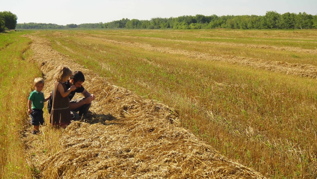 Adagio Acres | Clarkleigh Rd, Lundar, MB R0C 1Y0, Canada | Phone: (204) 762-5892