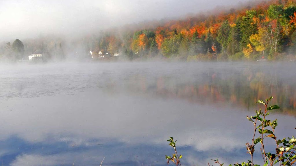 Quimby Country | 1127 Forest Lake Rd, Norton, VT 05907, USA | Phone: (802) 822-5533