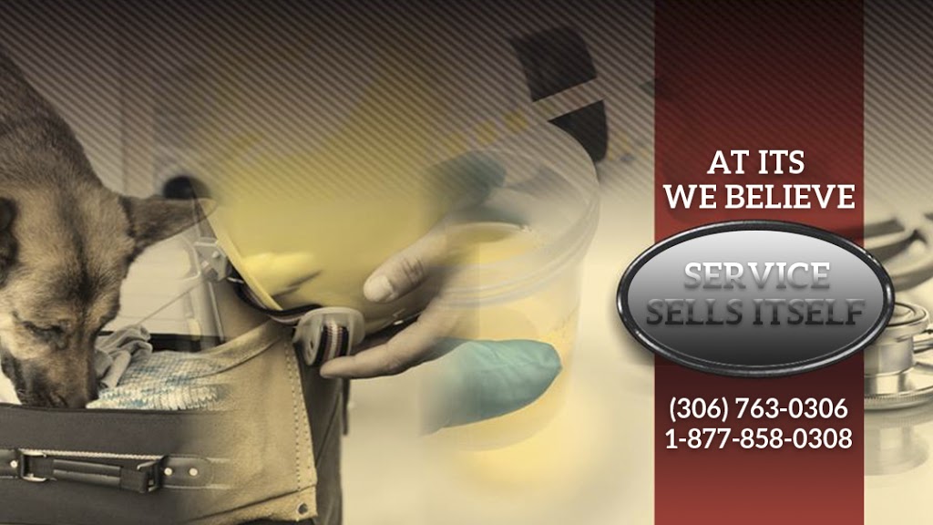 Innovative Training Solutions | 9-4260 5 Ave E, Prince Albert, SK S6W 0A5, Canada | Phone: (306) 763-0306