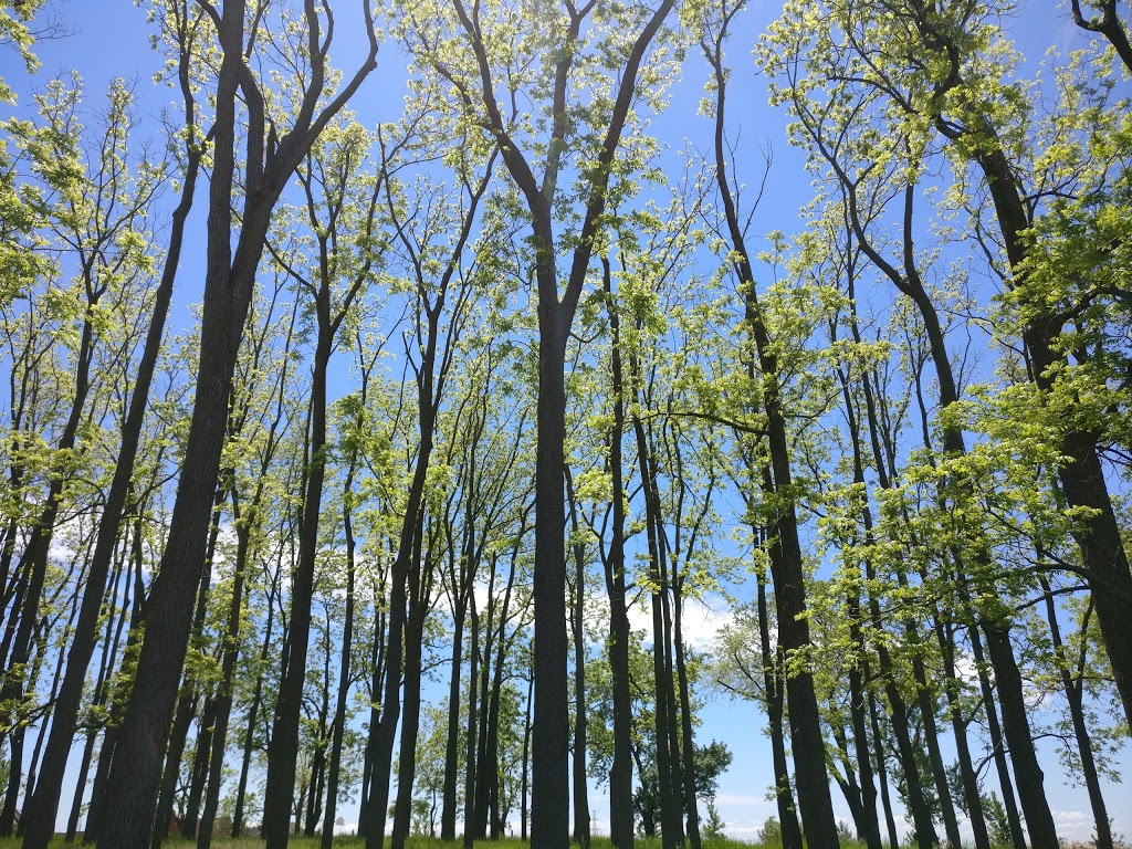 Sandford Farm Park | White Clover Way, Mississauga, ON L5V 0C1, Canada