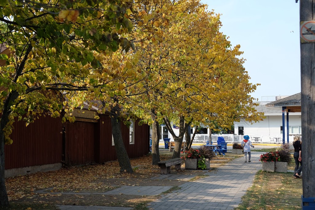 Europa | 1B1, 81 1 Avenue, Gimli, MB R0C 1B0, Canada | Phone: (204) 642-4115