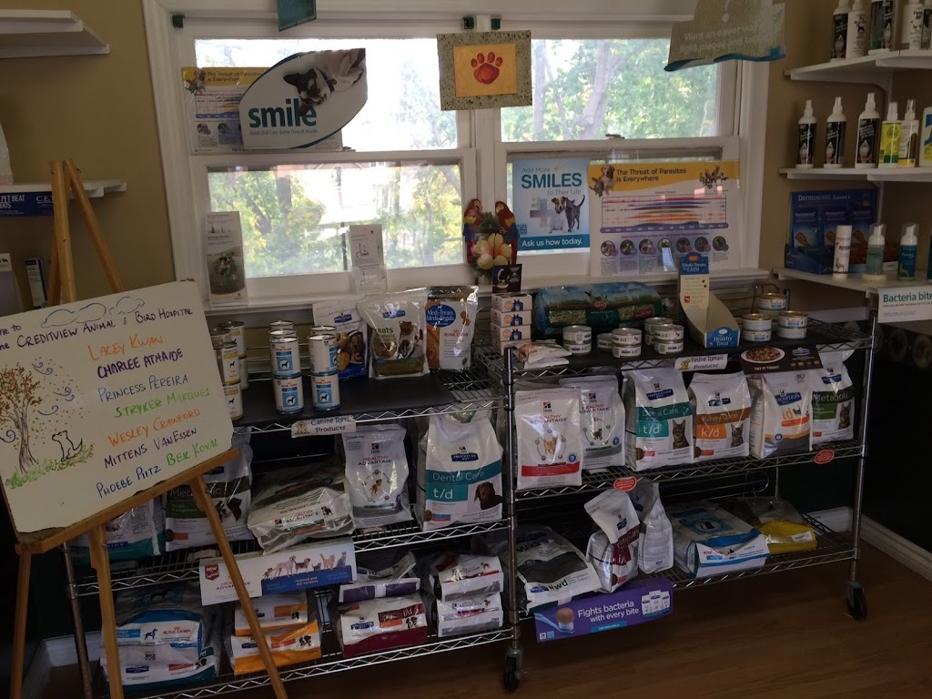 Creditview Animal & Bird Hospital | 5330 Creditview Rd, Mississauga, ON L5M 5N5, Canada | Phone: (905) 567-8387