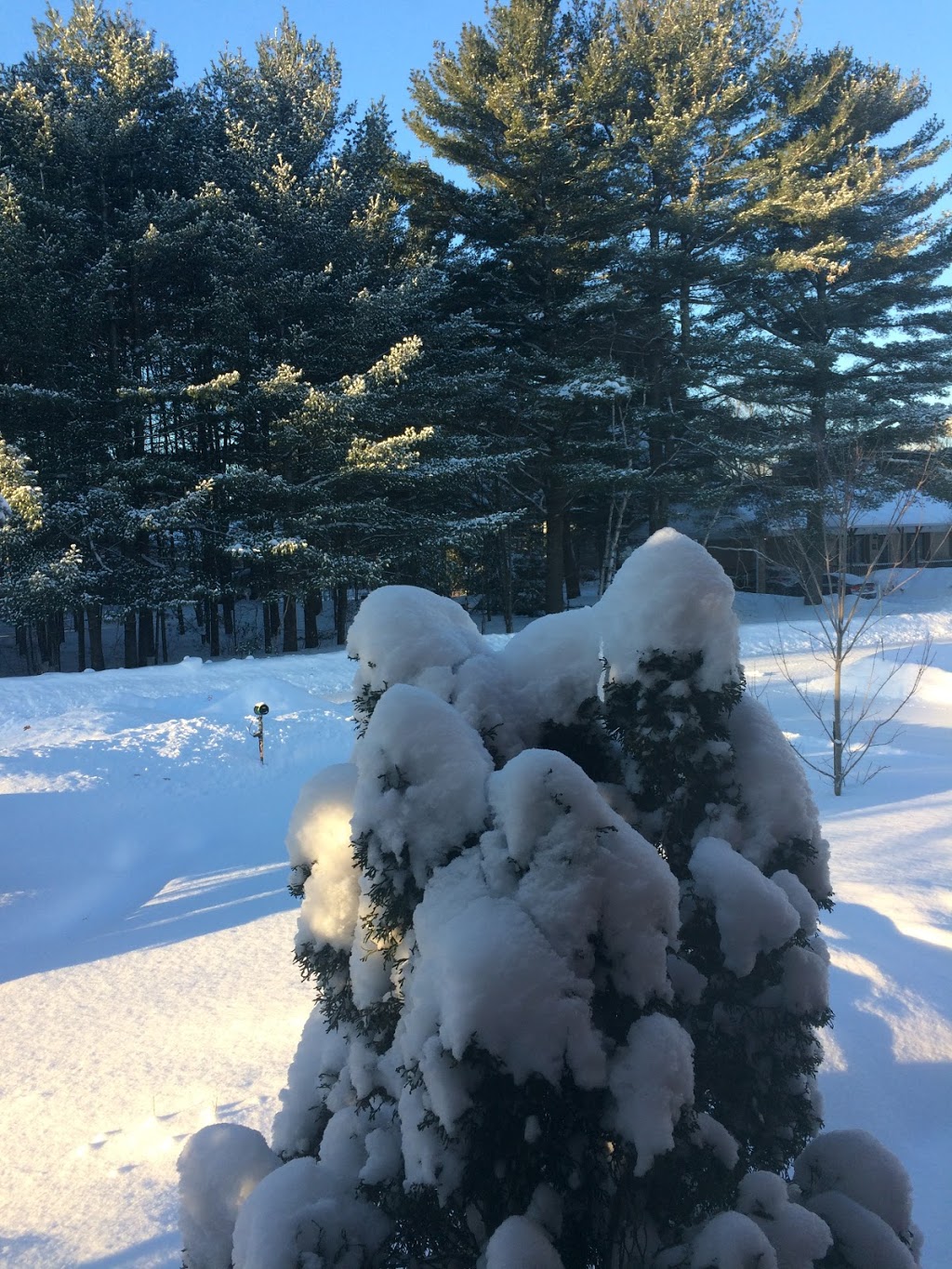 Le Du Moulin Club de Golf | 841 Chemin des Pins, Trois-Rivières, QC G8W 2K1, Canada | Phone: (819) 378-2819