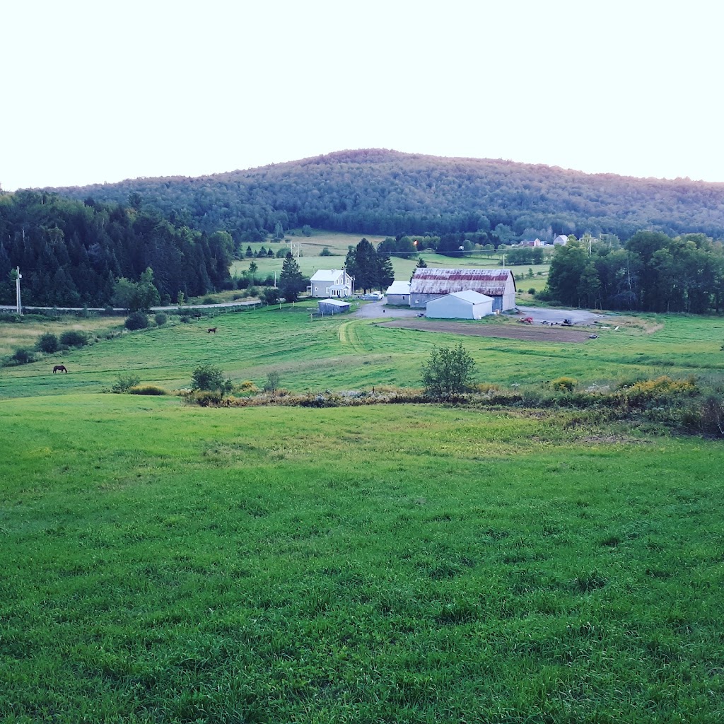Ferme de la rivière | 437 Rang St Denis, Saint-André-Avellin, QC J0V 1W0, Canada | Phone: (819) 360-6336