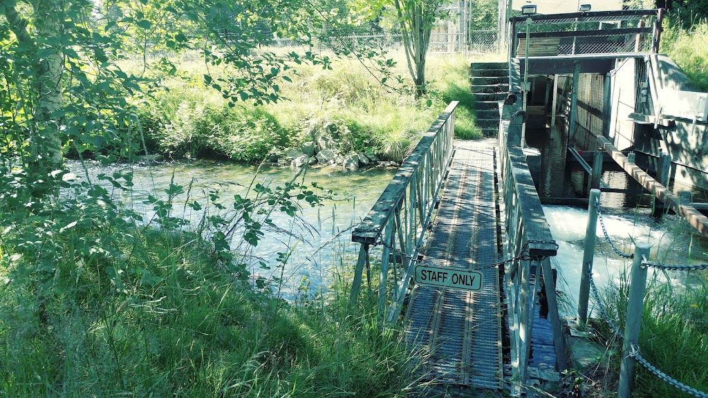 Little Qualicum River Fish Hatchery | 1391 Claymore Rd W, Qualicum Beach, BC V9K 2T6, Canada | Phone: (250) 752-3231
