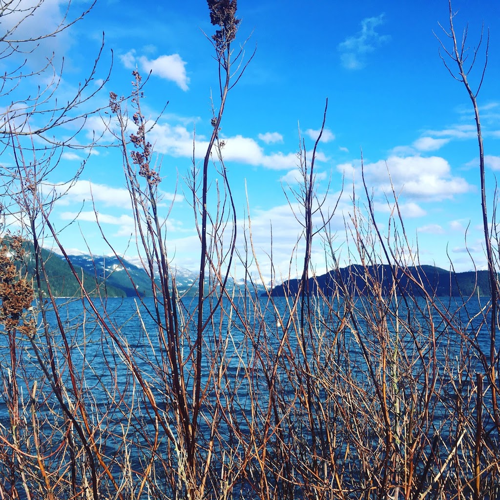 Bhima Yoga Shala | 190 Lillooet Rd, Harrison Hot Springs, BC V0X 1L0, Canada | Phone: (888) 379-4448