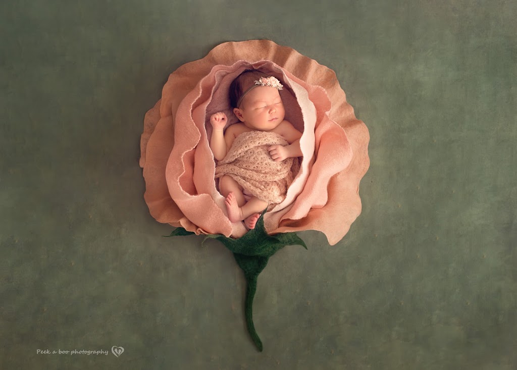 Peek a Boo Photography Vancouver BC | Alliance Dr, Richmond, BC V7E 6J3, Canada | Phone: (778) 322-1410