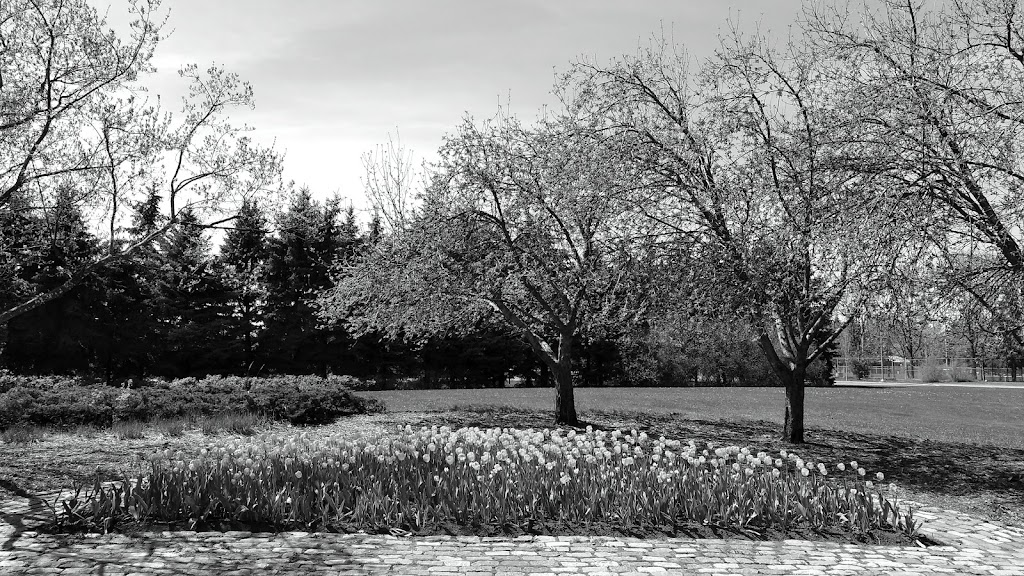 Share the Flame Monument | The Glebe, Ottawa, ON K1S 5H6, Canada | Phone: (613) 580-2400