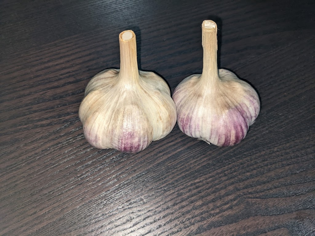 DeGraaf Garlic | 92028 Range Rd 205, Lethbridge County, AB T1J 5R1, Canada | Phone: (403) 382-1042