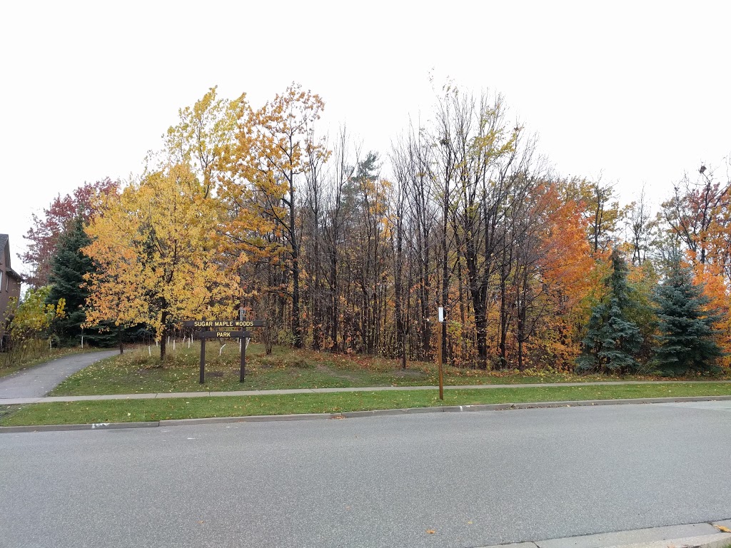 Duncairn Downs Park | 71 Duncairn Dr, Mississauga, ON M3B 1C8, Canada | Phone: (905) 615-4311