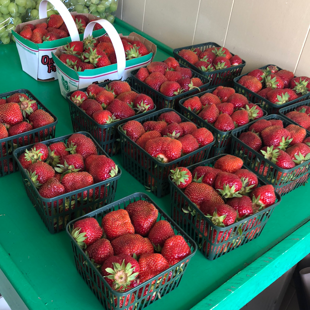 Garden Fresh Fruit Market | 12816 16 County Road, Severn, ON L0K 2C0, Canada | Phone: (705) 686-3110