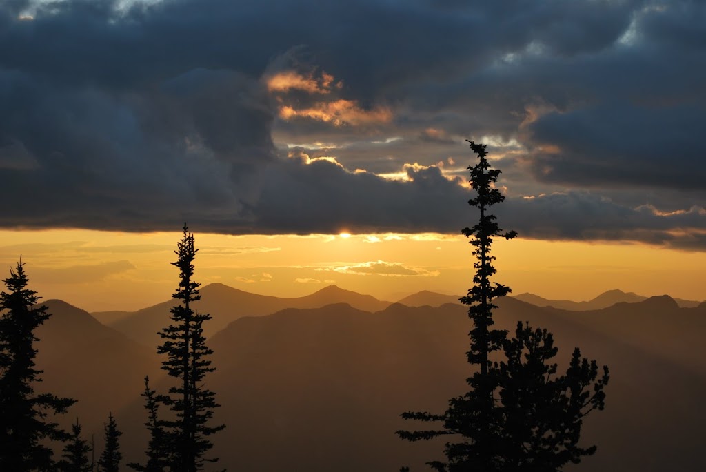 Mariah Runions Real Estate CENTURY 21 | 362 2 Ave, Fernie, BC V0B 1M0, Canada | Phone: (250) 430-7732