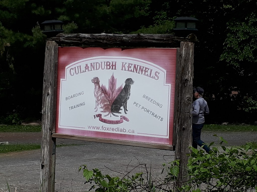 Culandubh Kennels | 355 Bowland Rd, Clayton, ON K0A 1P0, Canada | Phone: (613) 256-5863
