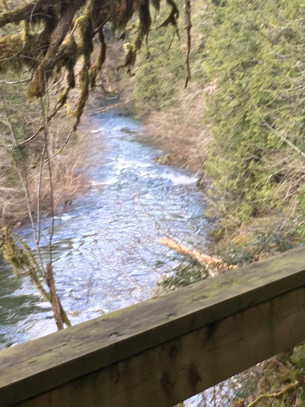 Kingburne Park | 2386 Gray Ln, Cobble Hill, BC V0R 1L5, Canada | Phone: (250) 746-2620