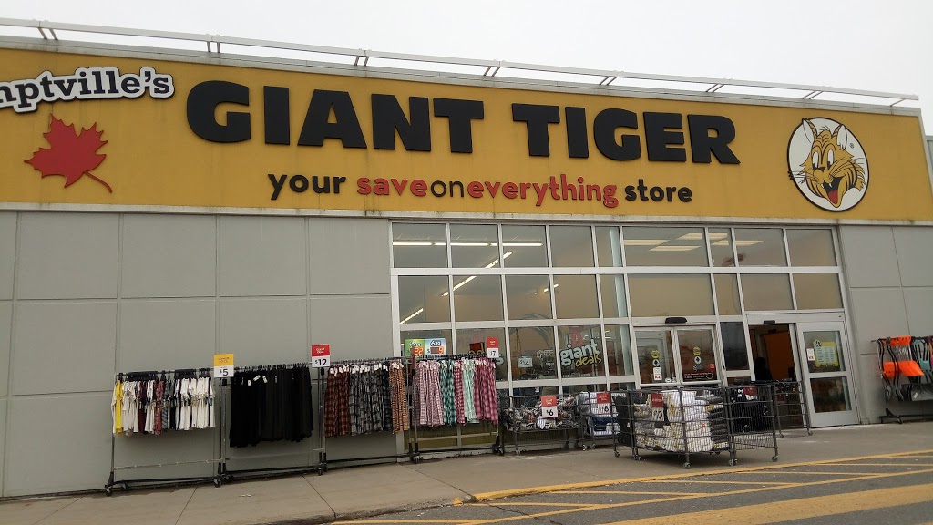 Giant Tiger | 2970 County Rd 43, Kemptville, ON K0G 1J0, Canada | Phone: (613) 258-7888