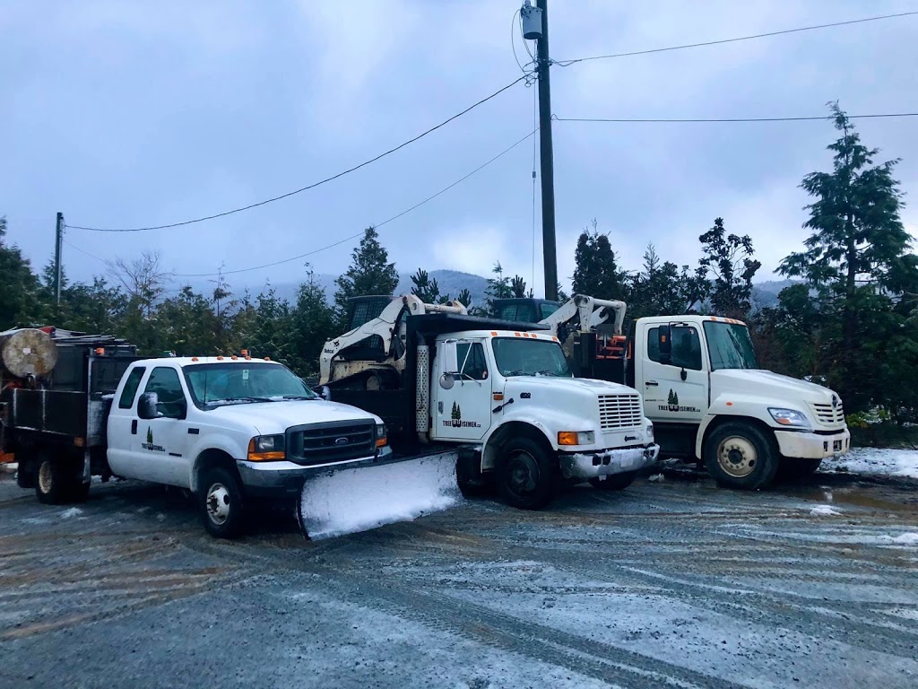 Treewisemen Landscaping Ltd. | 39472 No 5 Rd, Abbotsford, BC V3G 2G3, Canada | Phone: (604) 861-8733