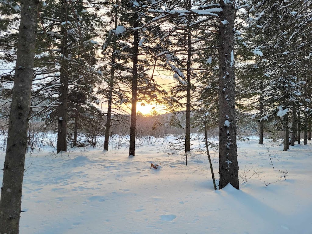 Chalet des Patriotes | 21 Rue de la Montagne, Saint-Alexis-des-Monts, QC J0K 1V0, Canada | Phone: (819) 996-4504
