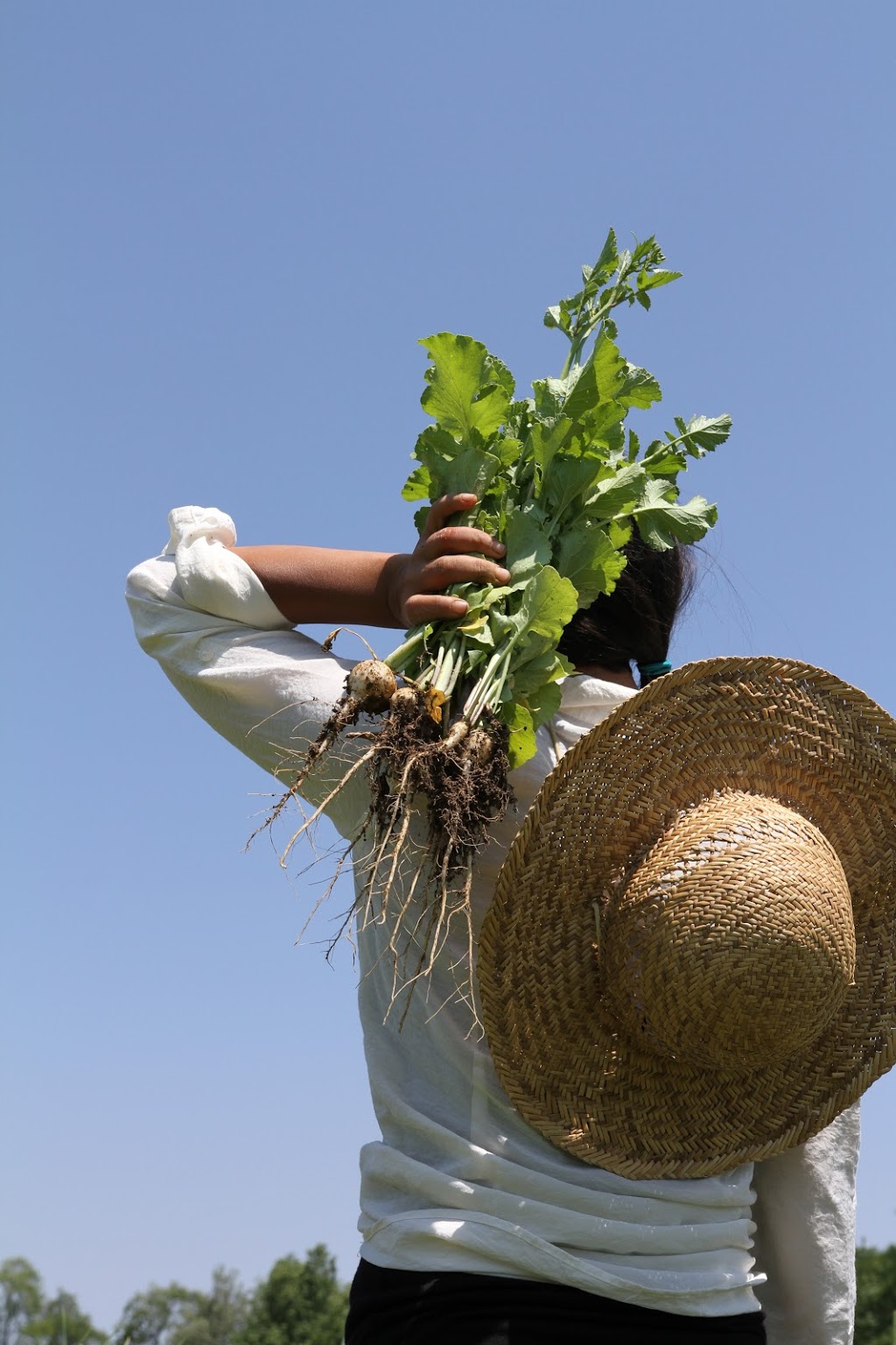 Les Jardins en Mouvement | 2766 Chemin Noiseux, Dunham, QC J0E 1M0, Canada | Phone: (514) 781-2244