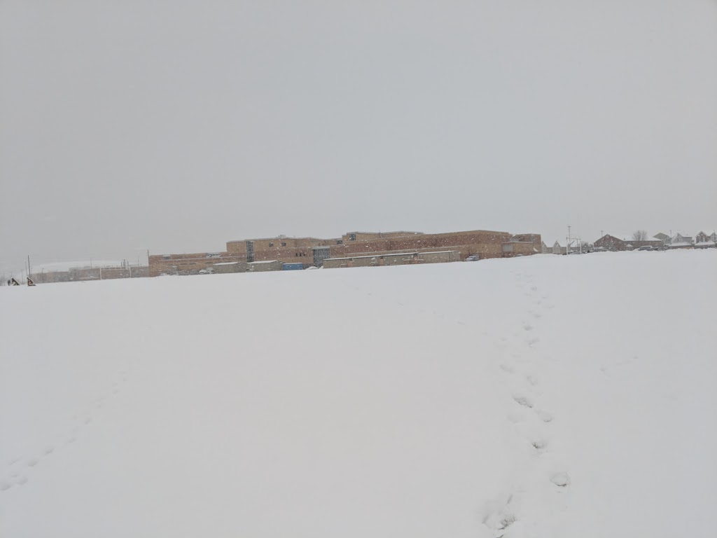 All Saints Catholic Secondary School | 3001 Country Ln, Whitby, ON L1P 1M1, Canada | Phone: (905) 666-7753