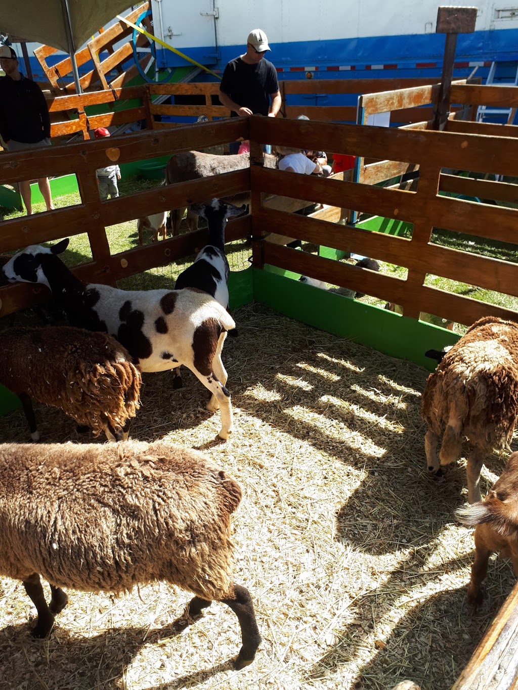 Orono Agricultural Society | 2 Princess St, Orono, ON L0B 1M0, Canada | Phone: (905) 983-9510