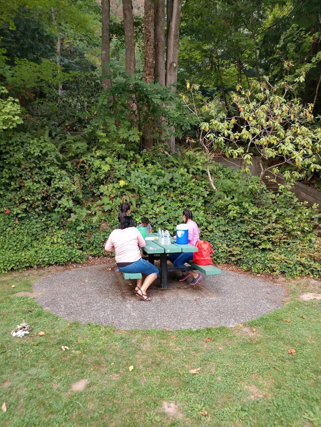 Samish Lake Park | 673 N Lake Samish Dr, Bellingham, WA 98229, USA | Phone: (360) 733-2362