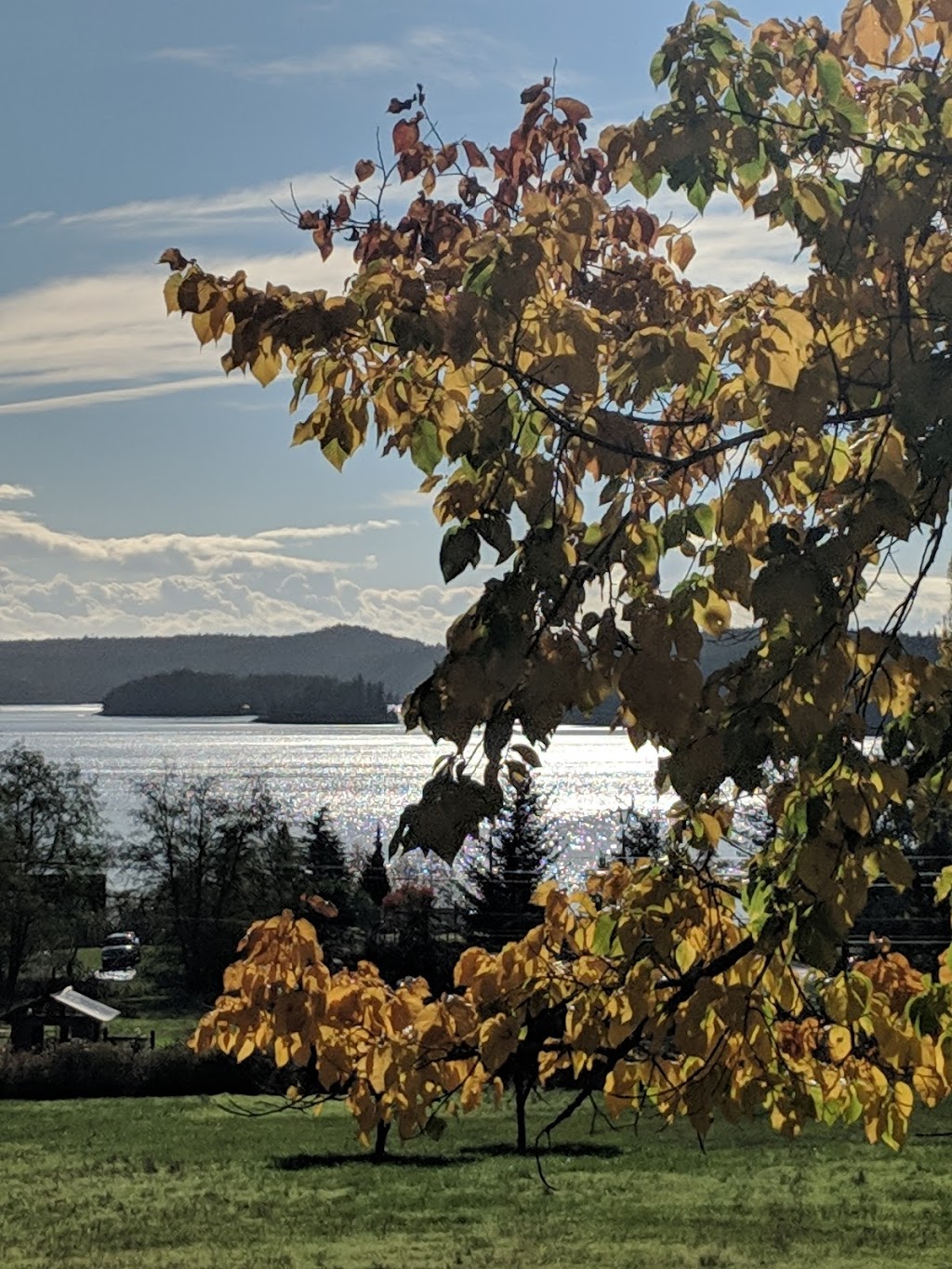 Turtleback Mountain South Trailhead | Orcas Island, Eastsound, WA 98245, USA