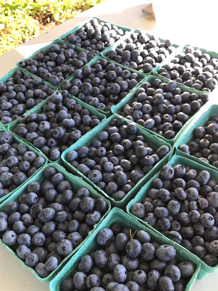 Arirang Farm | 620 Belcher St, Port Williams, NS B0P 1T0, Canada | Phone: (902) 599-4949