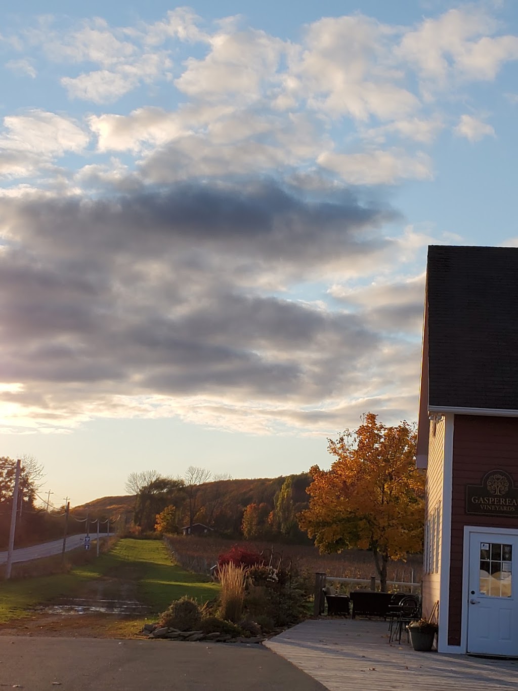 Gaspereau Vineyards | 2239 White Rock Rd, Wolfville, NS B4P 2R1, Canada | Phone: (902) 542-1455