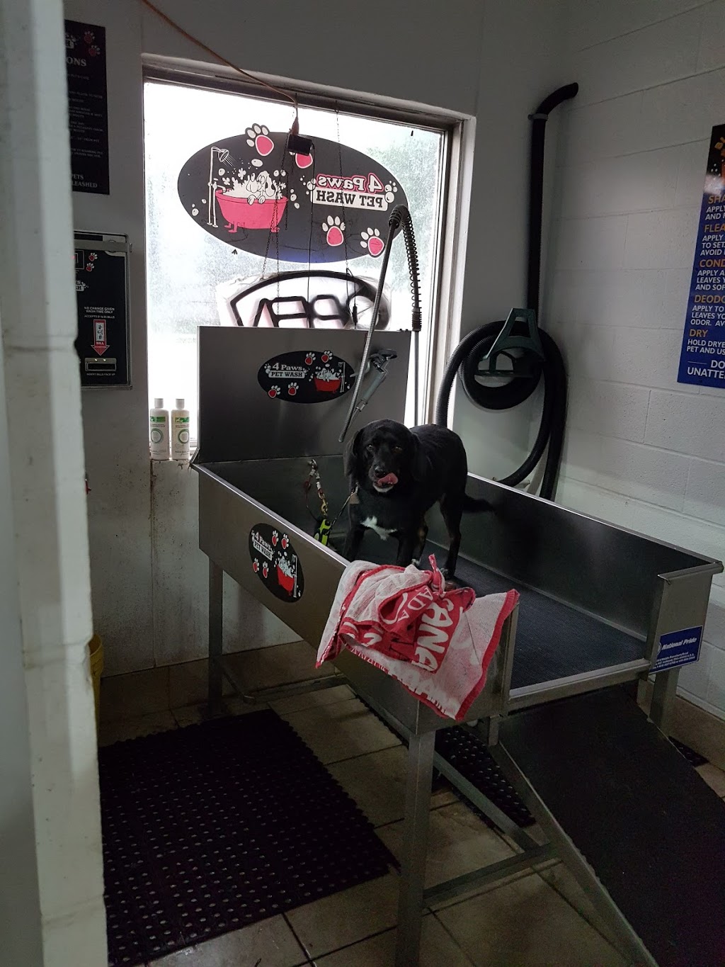 Blondies Car Wash & Laundromat | 176 Watson St, Winnipeg, MB R2P 1Y4, Canada | Phone: (204) 633-3800