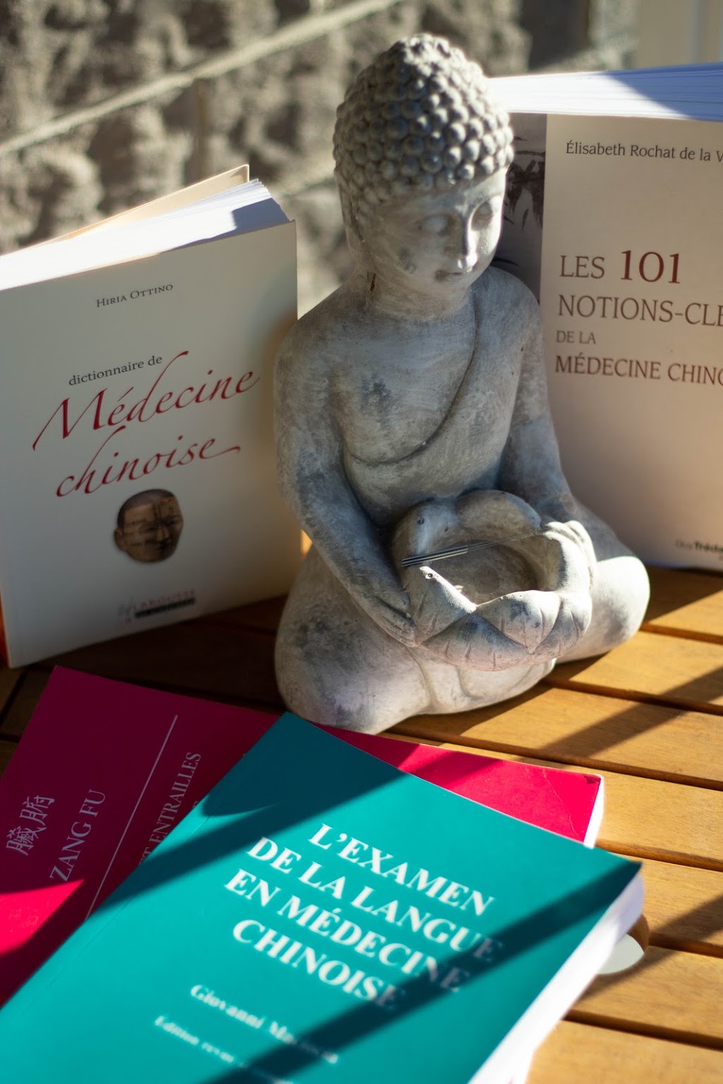 Emilie Lagarde Acupuncture | 253 Chemin de Lavaltrie bureau 102, Lavaltrie, QC J5T 2G8, Canada | Phone: (514) 627-0032