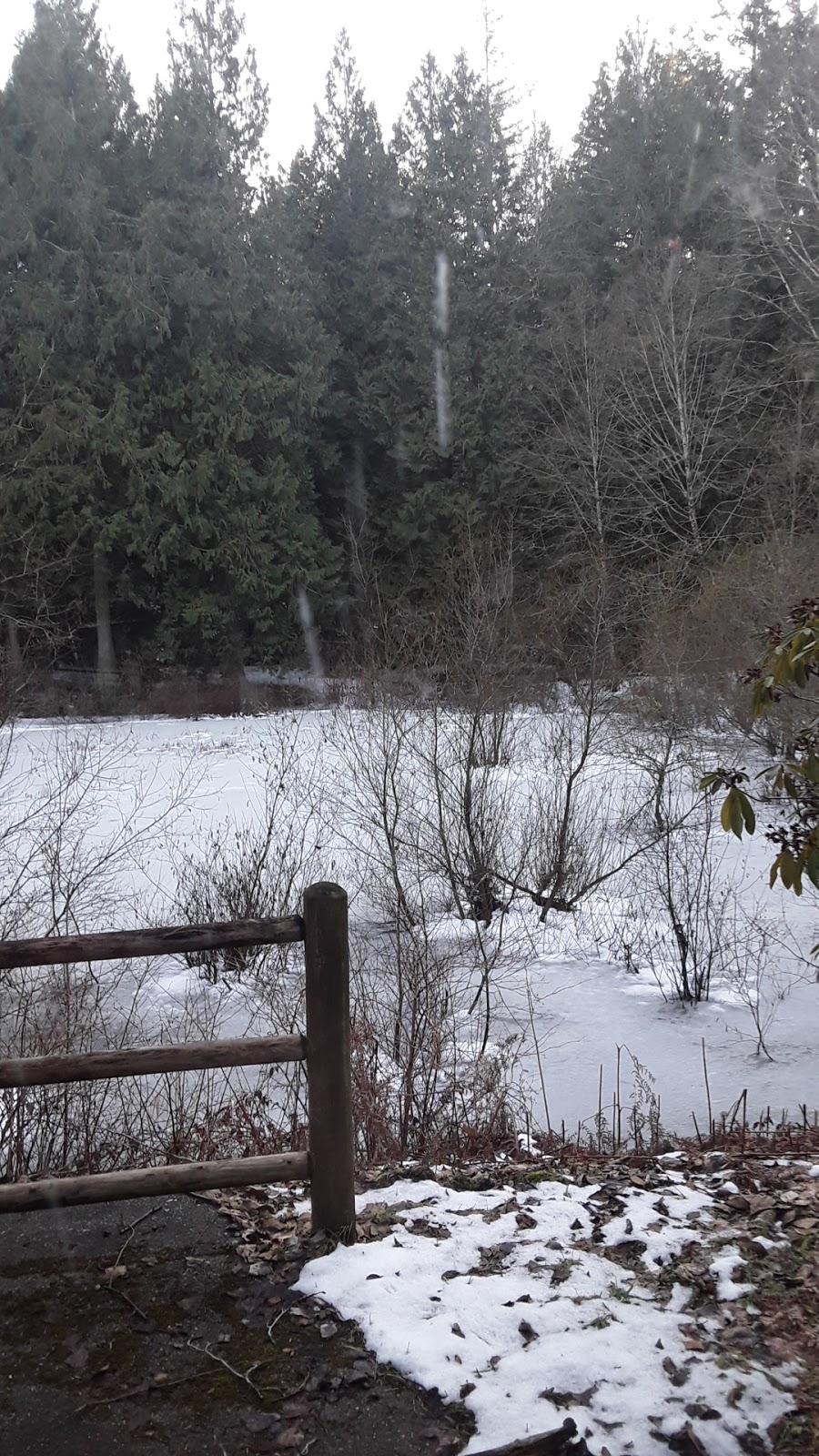 Friday Creek Campground | 4474 Friday Creek Rd, Burlington, WA 98233, USA | Phone: (360) 724-4811