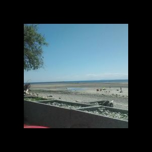 Dial A Delivery Sechelt | 760 Brookside Pl, Gibsons, BC V0N 1V9, Canada | Phone: (604) 989-9914