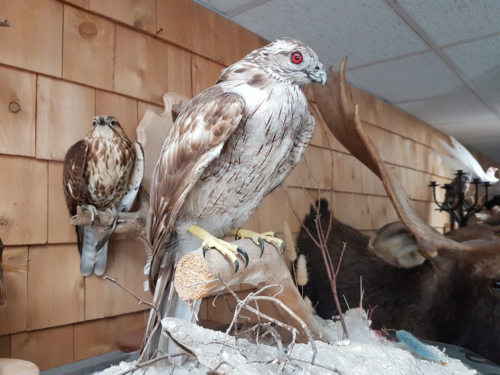 Taxidermie Chez Eric | 279 Rue Principale, Vallée-Jonction, QC G0S 3J0, Canada | Phone: (418) 253-6495
