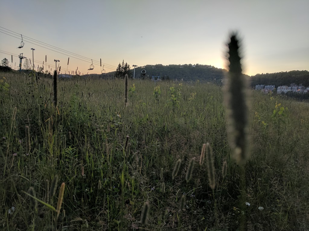 Habitations des Monts | 700 Chemin des Habitations-des-Monts, Saint-Sauveur, QC J0R 1R3, Canada | Phone: (450) 227-3913