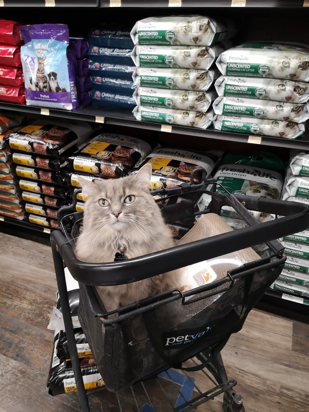 Pet Valu | 1245 Dupont St, Toronto, ON M6H 2A6, Canada | Phone: (416) 536-4282