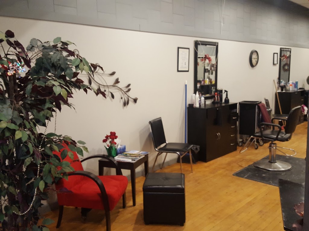 Shear Image | 9 Dundas St E, Napanee, ON K7R 1H5, Canada | Phone: (613) 354-2886