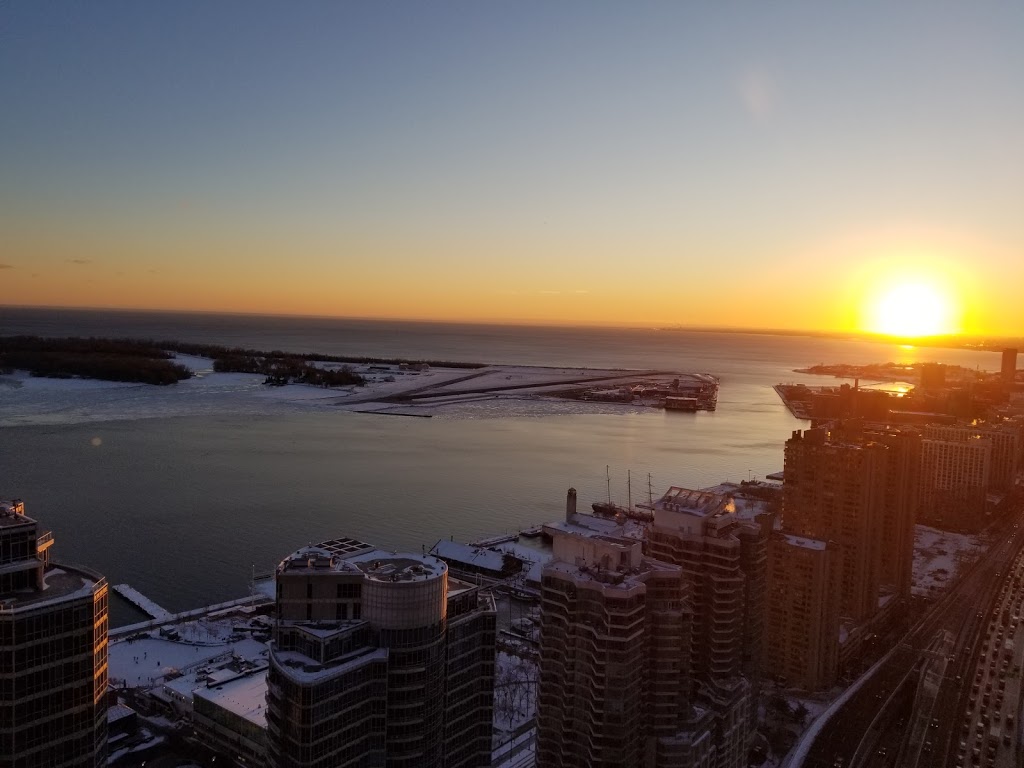 Shark Attack Tours | 249 Queens Quay W, Toronto, ON M5J 2N5, Canada | Phone: (416) 410-0536